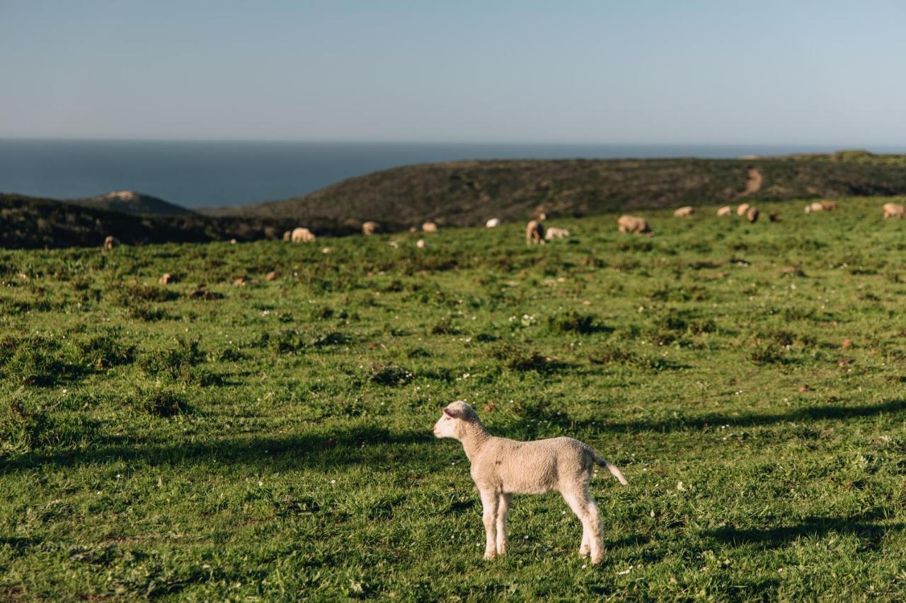 Casa Nook Sagres Konuk evi Vila do Bispo Dış mekan fotoğraf